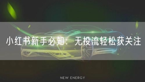 小红书新手必知：无投流轻松获关注