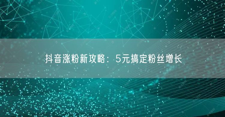 抖音涨粉新攻略：5元搞定粉丝增长