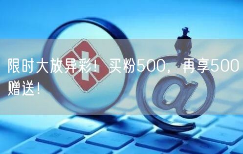 限时大放异彩！买粉500，再享500赠送！