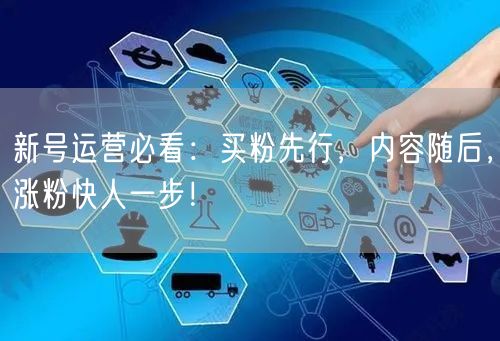 新号运营必看：买粉先行，内容随后，涨粉快