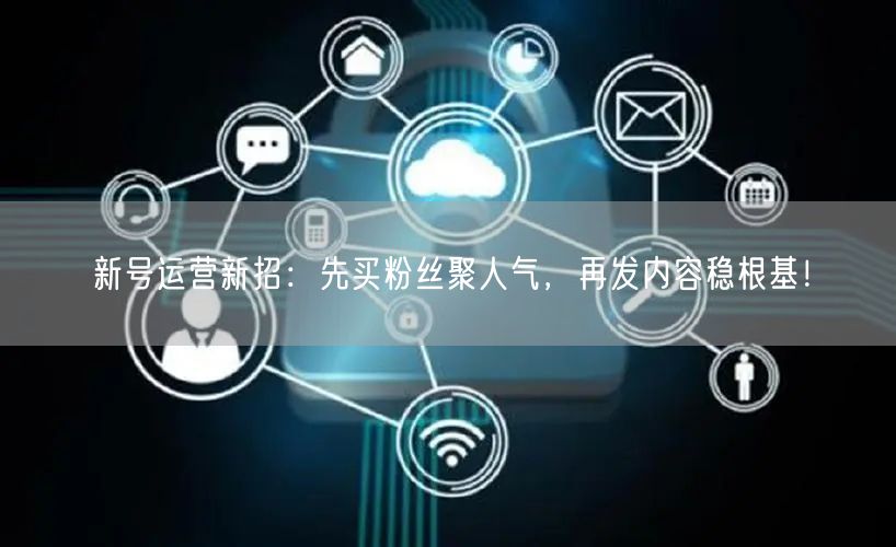 新号运营新招：先买粉丝聚人气，再发内容稳根基！