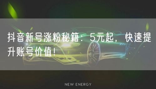 抖音新号涨粉秘籍：5元起，快速提升账号价值！