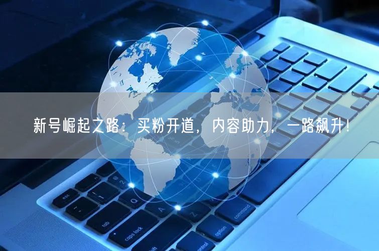 新号崛起之路：买粉开道，内容助力，一路飙升！