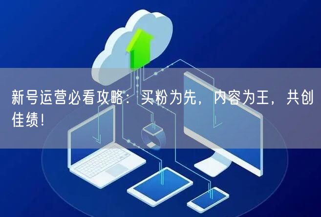 新号运营必看攻略：买粉为先，内容为王，共创佳绩！