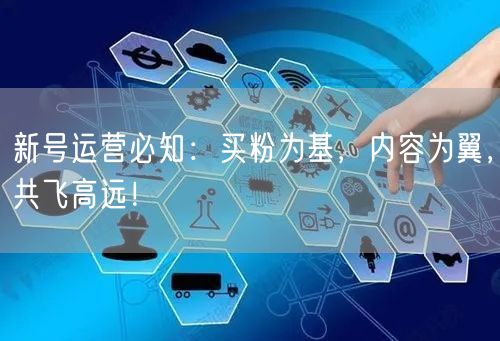 新号运营必知：买粉为基，内容为翼，共飞高远！