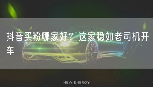 抖音买粉哪家好？这家稳如老司机开车