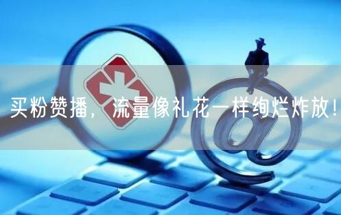 买粉赞播，流量像礼花一样绚烂炸放！