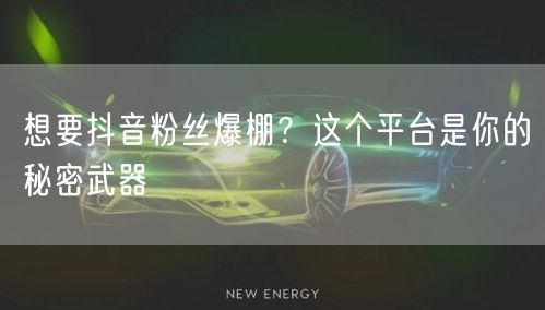 想要抖音粉丝爆棚？这个平台是你的秘密武器