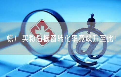 惊！买粉后橱窗转化率竟飙升至此！