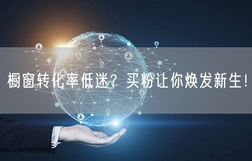 橱窗转化率低迷？买粉让你焕发新生！