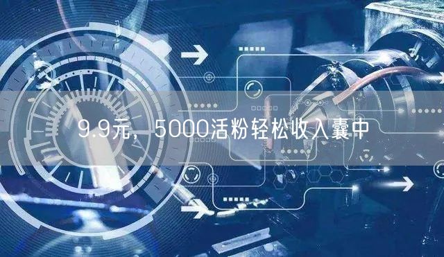 9.9元，5000活粉轻松收入囊中