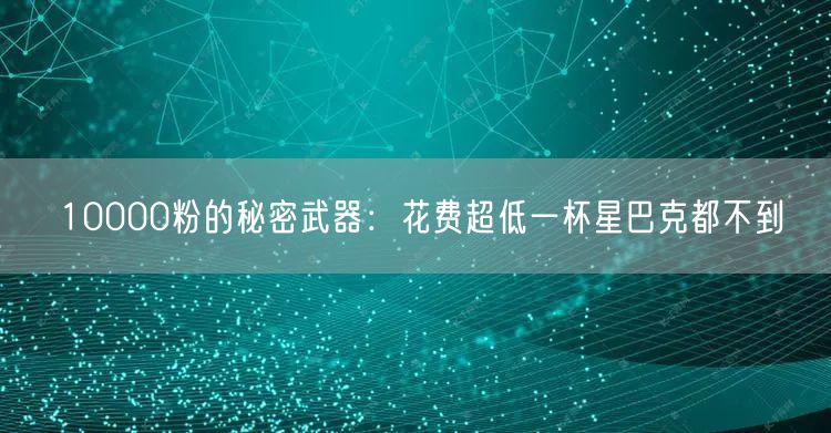 10000粉的秘密武器：花费超低一杯星巴克都不到