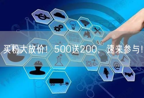 买粉大放价！500送200，速来参与！