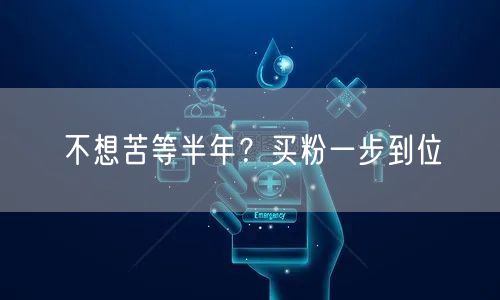 不想苦等半年？买粉一步到位