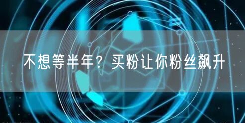 不想等半年？买粉让你粉丝飙升