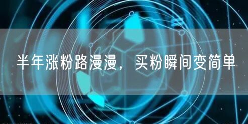 半年涨粉路漫漫，买粉瞬间变简单
