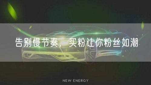 告别慢节奏，买粉让你粉丝如潮