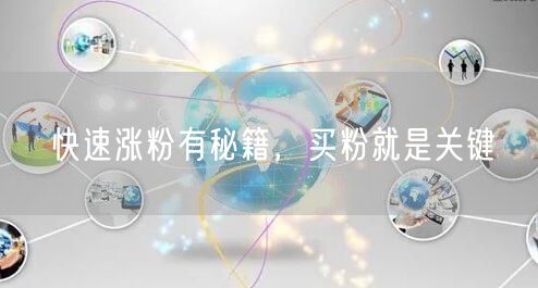 快速涨粉有秘籍，买粉就是关键