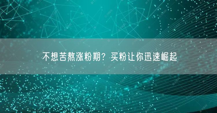 不想苦熬涨粉期？买粉让你迅速崛起