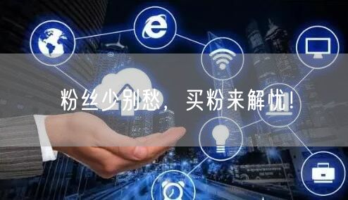 粉丝少别愁，买粉来解忧！