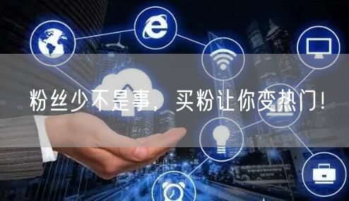 粉丝少不是事，买粉让你变热门！