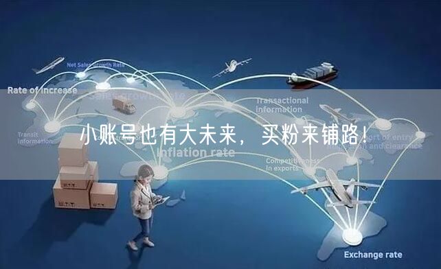 小账号也有大未来，买粉来铺路！