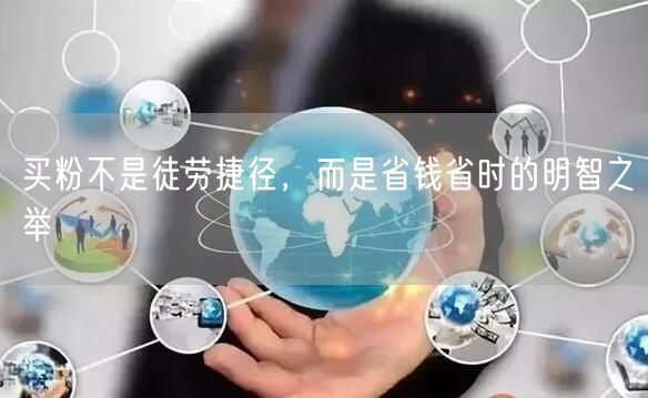 买粉不是徒劳捷径，而是省钱省时的明智之举