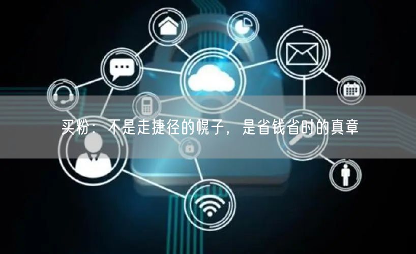 买粉：不是走捷径的幌子，是省钱省时的真章