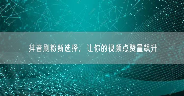 抖音刷粉新选择，让你的视频点赞量飙升