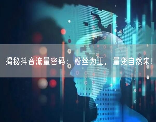 揭秘抖音流量密码：粉丝为王，量变自然来！