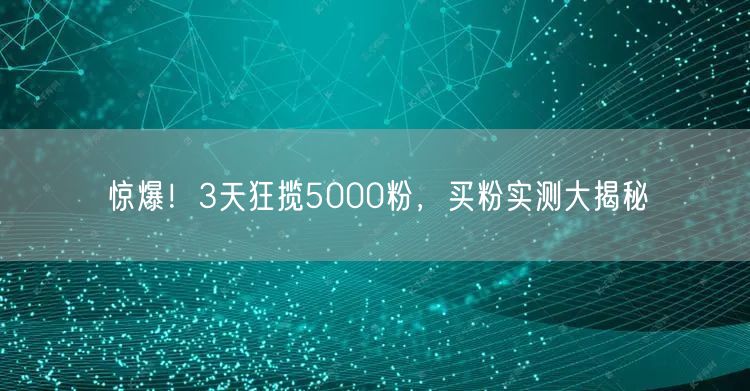 惊爆！3天狂揽5000粉，买粉实测大揭秘