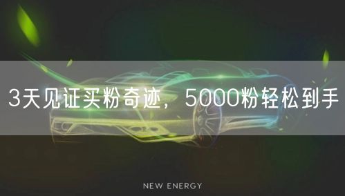 3天见证买粉奇迹，5000粉轻松到手