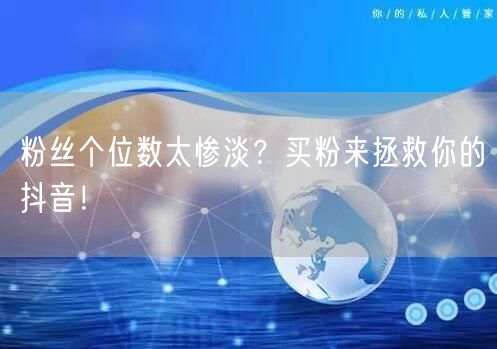 粉丝个位数太惨淡？买粉来拯救你的抖音！