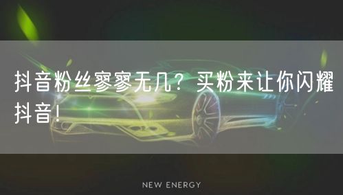 抖音粉丝寥寥无几？买粉来让你闪耀抖音！