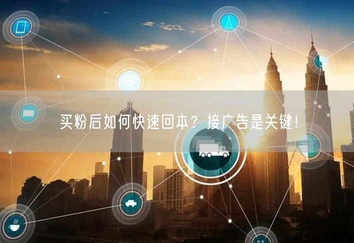 买粉后如何快速回本？接广告是关键！