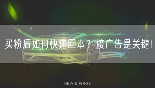 买粉后如何快速回本？接广告是关键！