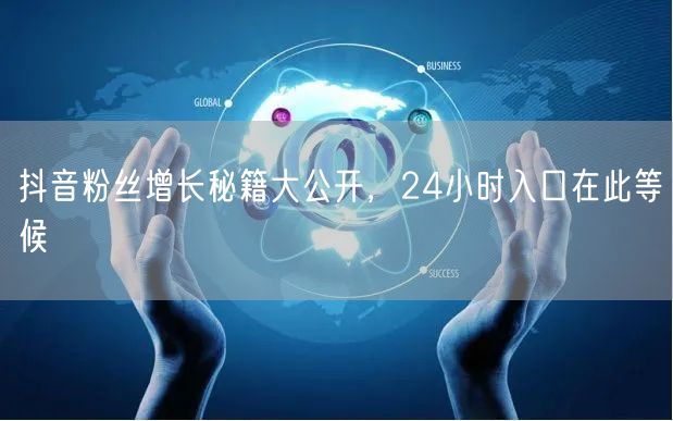 抖音粉丝增长秘籍大公开，24小时入口在此等候