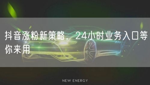 抖音涨粉新策略，24小时业务入口等你来用