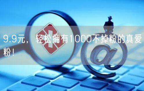 9.9元，轻松拥有1000不掉粉的真爱粉！