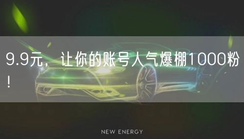 9.9元，让你的账号人气爆棚1000粉！