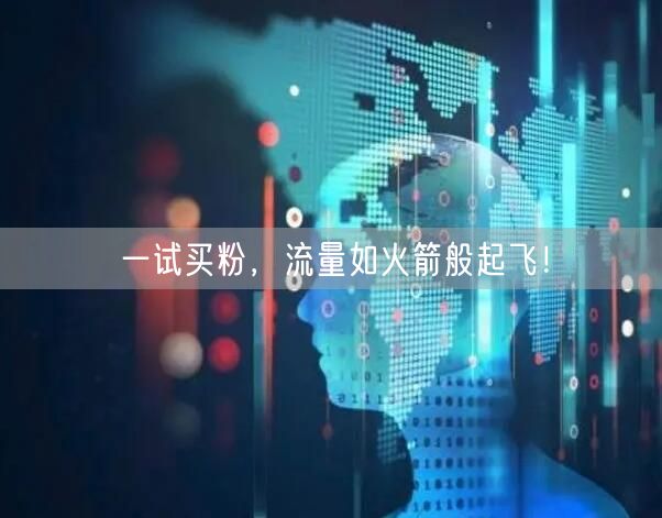 一试买粉，流量如火箭般起飞！