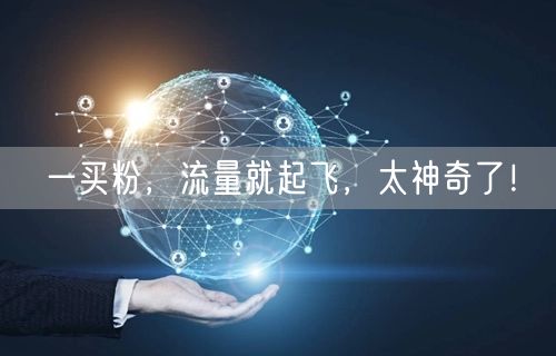 一买粉，流量就起飞，太神奇了！