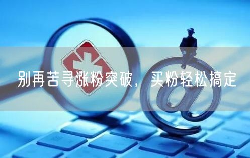 别再苦寻涨粉突破，买粉轻松搞定