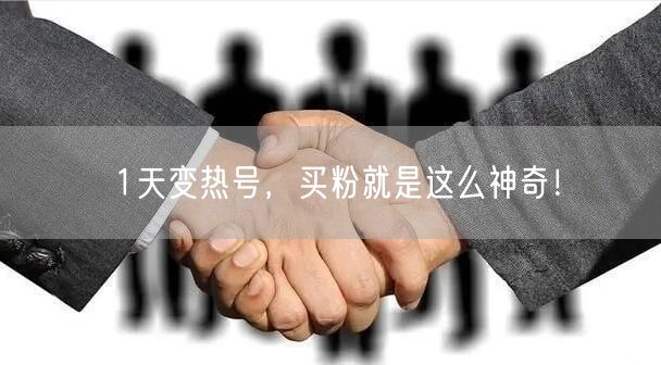 1天变热号，买粉就是这么神奇！