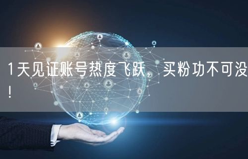 1天见证账号热度飞跃，买粉功不可没！