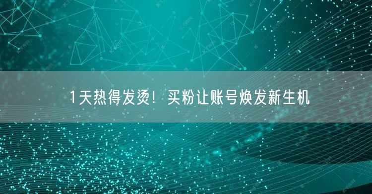 1天热得发烫！买粉让账号焕发新生机