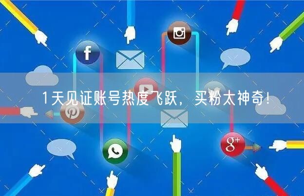 1天见证账号热度飞跃，买粉太神奇！