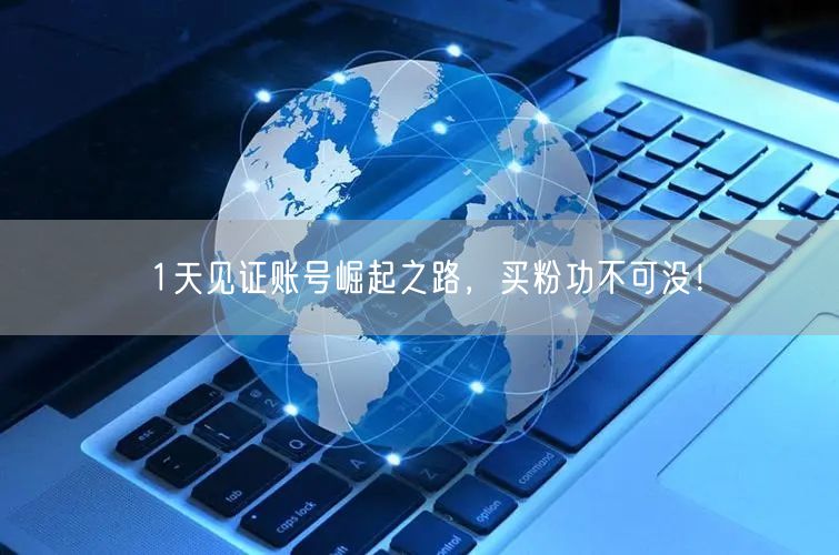1天见证账号崛起之路，买粉功不可没！