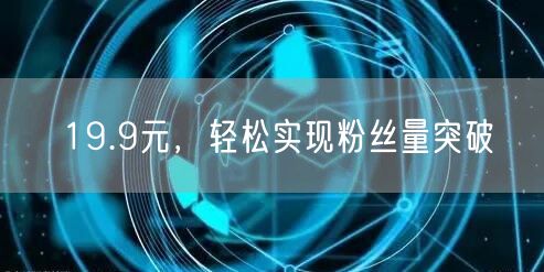 19.9元，轻松实现粉丝量突破