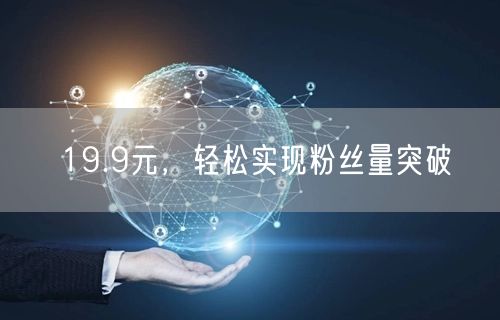 19.9元，轻松实现粉丝量突破